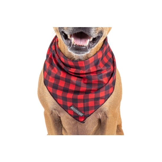 Big and Little Dogs Bandana- Plaid To The Bone