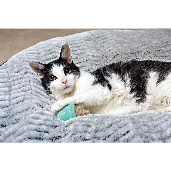 This Mini Ice-cream is perfect for your kitty's playtime, they can enjoy batting, tossing and carrying around this yummy Ice-Cream in their mouth and its filled with catnip to entice and encourage play!