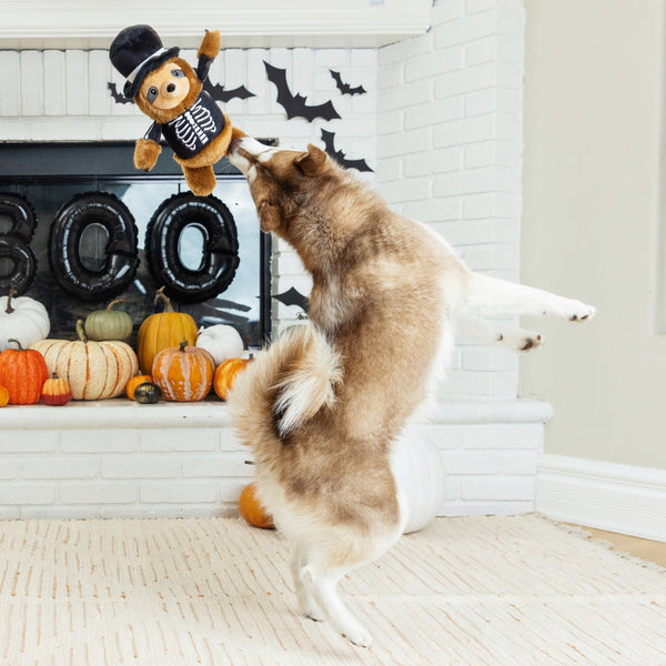 Fringe Studio Halloween Plush Squeaker Dog Toy - Trick or Sleep