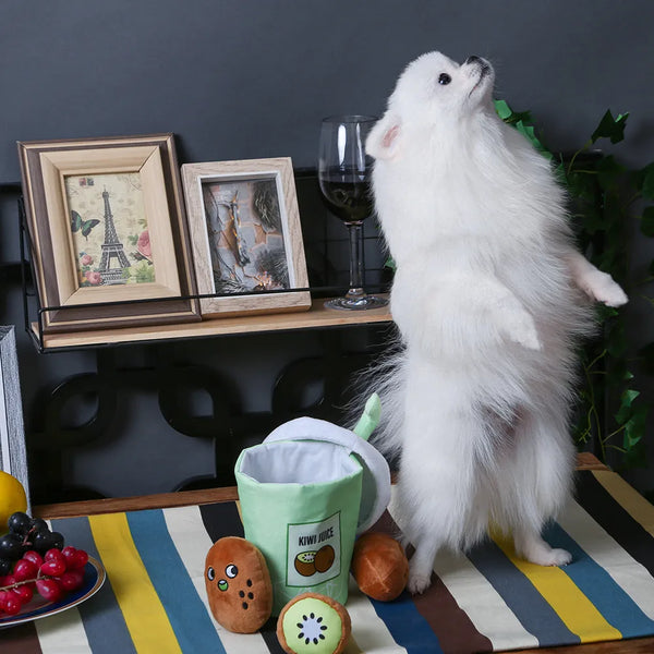 HugSmart Puzzle Hunter Dog Toy- Food Party -Kiwi Juice