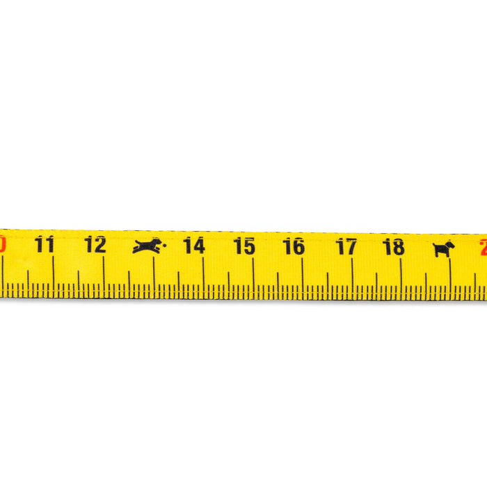 Max and Molly Smart ID Dog Collar Ruler