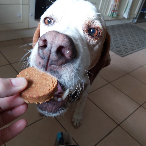 Doggylicious Calming Cookies for Dogs 180g