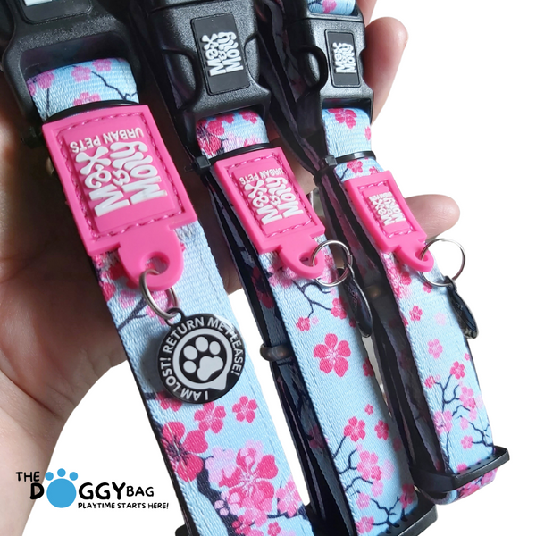 Max and Molly Smart ID Dog Collar Cherry Bloom