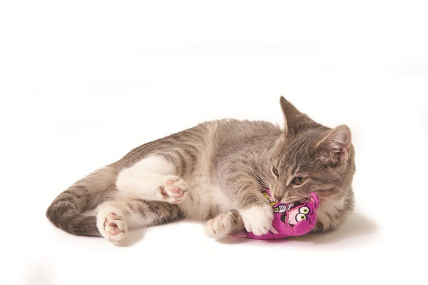 Kitty Playing with Petstages Madcap Stand Up Catnip Cat Toy