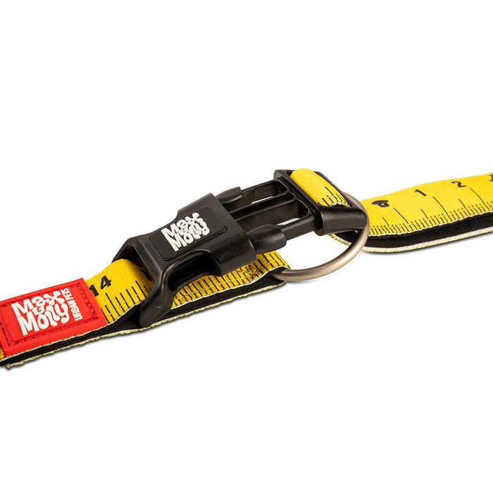 Max and Molly Smart ID Dog Collar Ruler