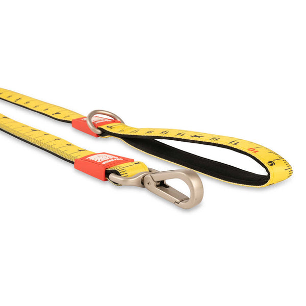 Max and Molly Dog Lead Ruler