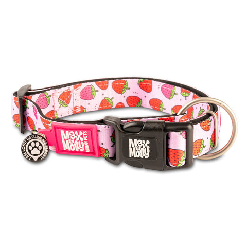 Max and Molly Urban Pets Smart Id Dog Collar, Strawberry Dream.