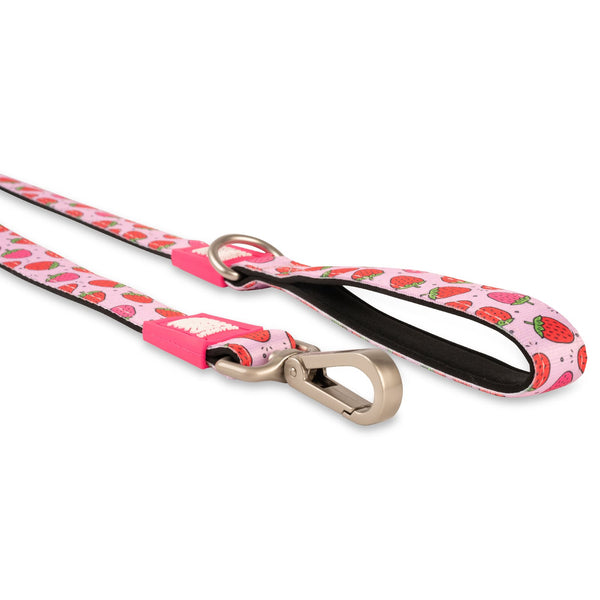 Max and Molly Urban Pets Strawberry Dream Dog Lead.