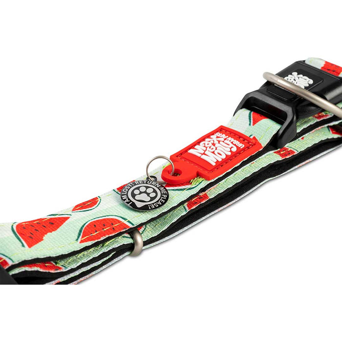 Max and Molly Smart ID Dog Collar Watermelon
