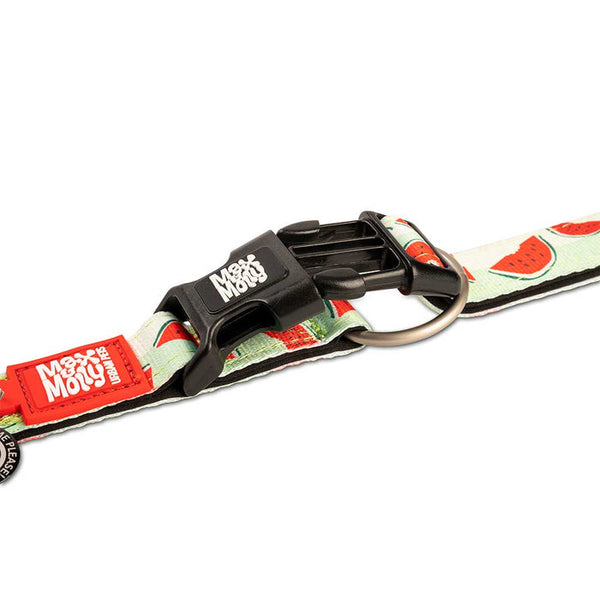 Max and Molly Smart ID Dog Collar Watermelon