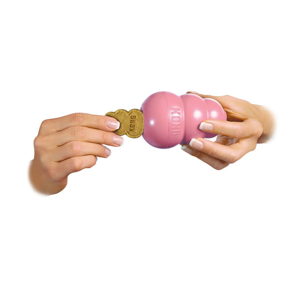KONG Puppy slow feeder, boredom buster for dogs. Dog enrichment.