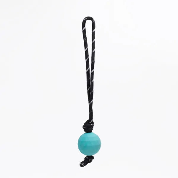Zippy Paws Zippy Tuff -Waggle Ball Rope Tugz®️