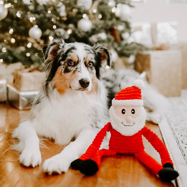 ZippyPaws Holiday Santa Crinkle Dog Toy Small, Christmas Dog Toy