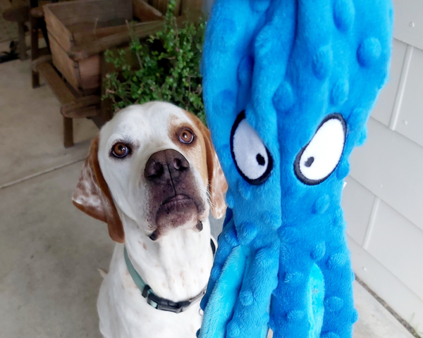 Octopus plush Squeaky crinkle Dog Toy