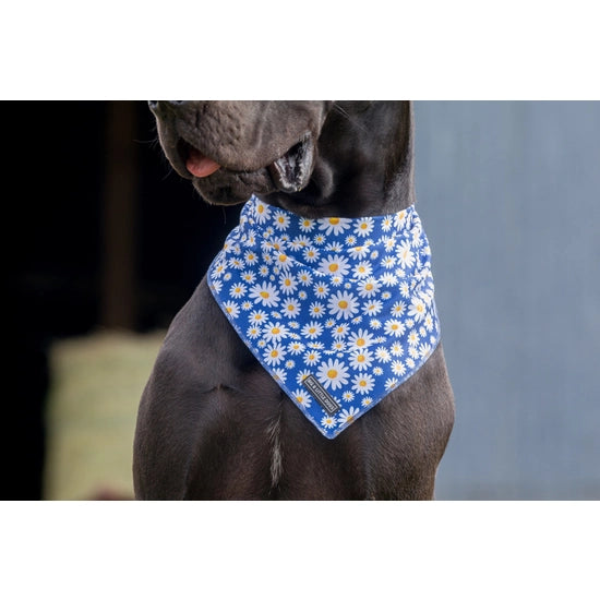 Big and Little Dogs Bandana- Daisy Patch