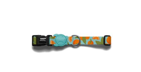 Zee Cat Collar Florida