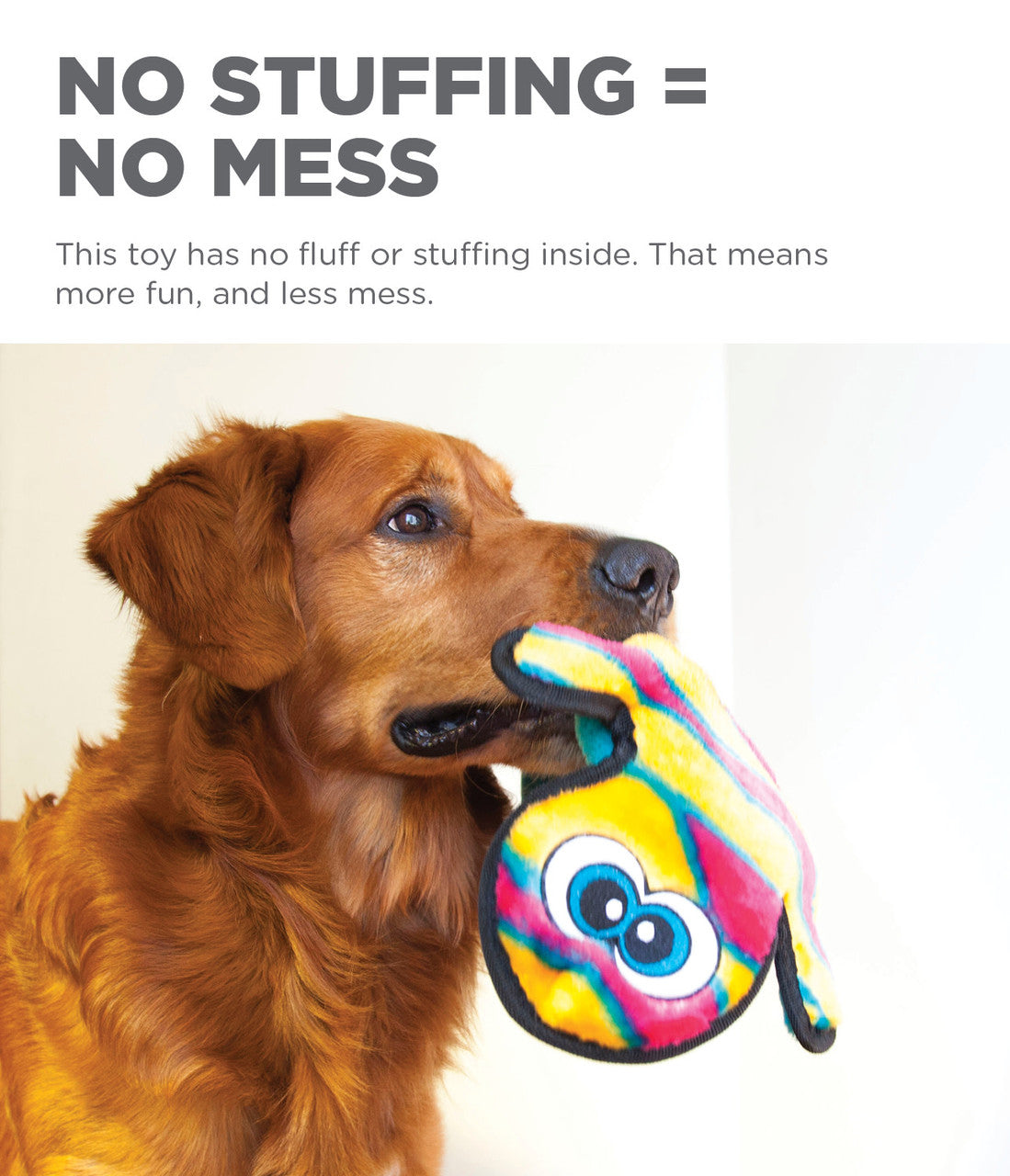 Outward Hound Invincibles Gecko Durable Squeaky Dog Toy