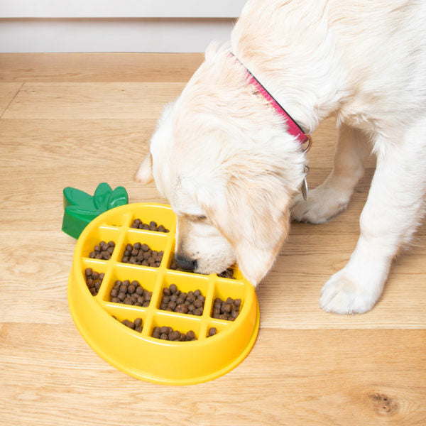 Zippy Paws®Pineapple Happy Bowl Slow Feed Bowl for Dogs