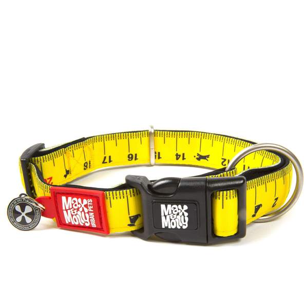 Max and Molly Smart ID Dog Collar Ruler