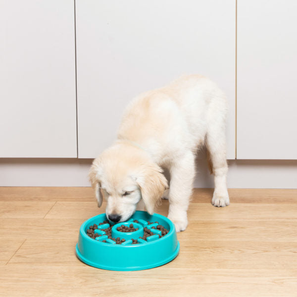 Zippy Paws® Donut Happy Bowl Slow Feed Bowl for Dogs