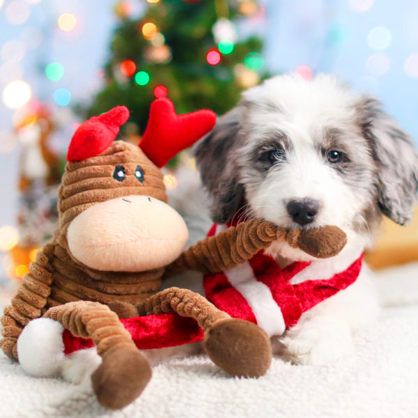 ZippyPaws Holiday Reindeer Crinkle Dog Toy Small Christmas dog toy