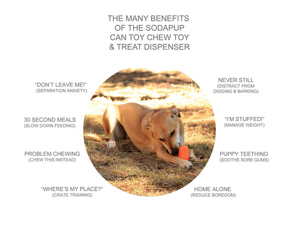 Soda Pup Can Toy Durable Rubber Chew Toy and Treat Dispenser