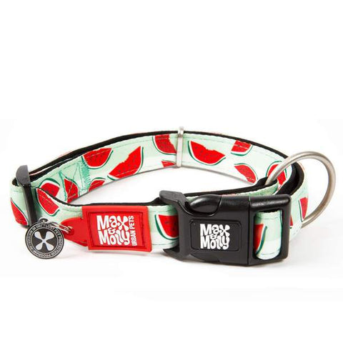 Max and Molly Smart ID Dog Collar Watermelon