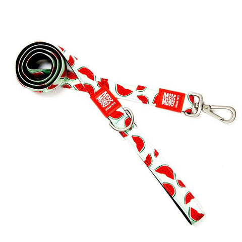 Max and Molly Dog Lead Watermelon Design